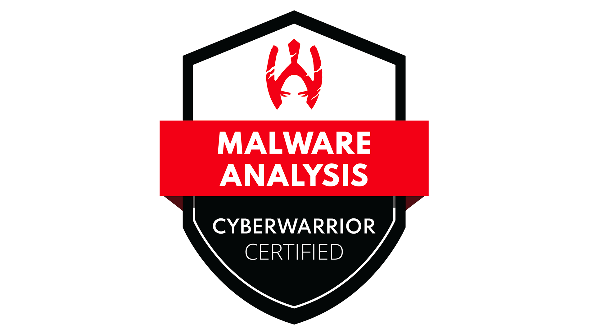 ESMA101 - Introduction to Malware Analysis ESMA101